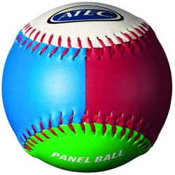 ATEC ATEC Training Panel Ball (ea)