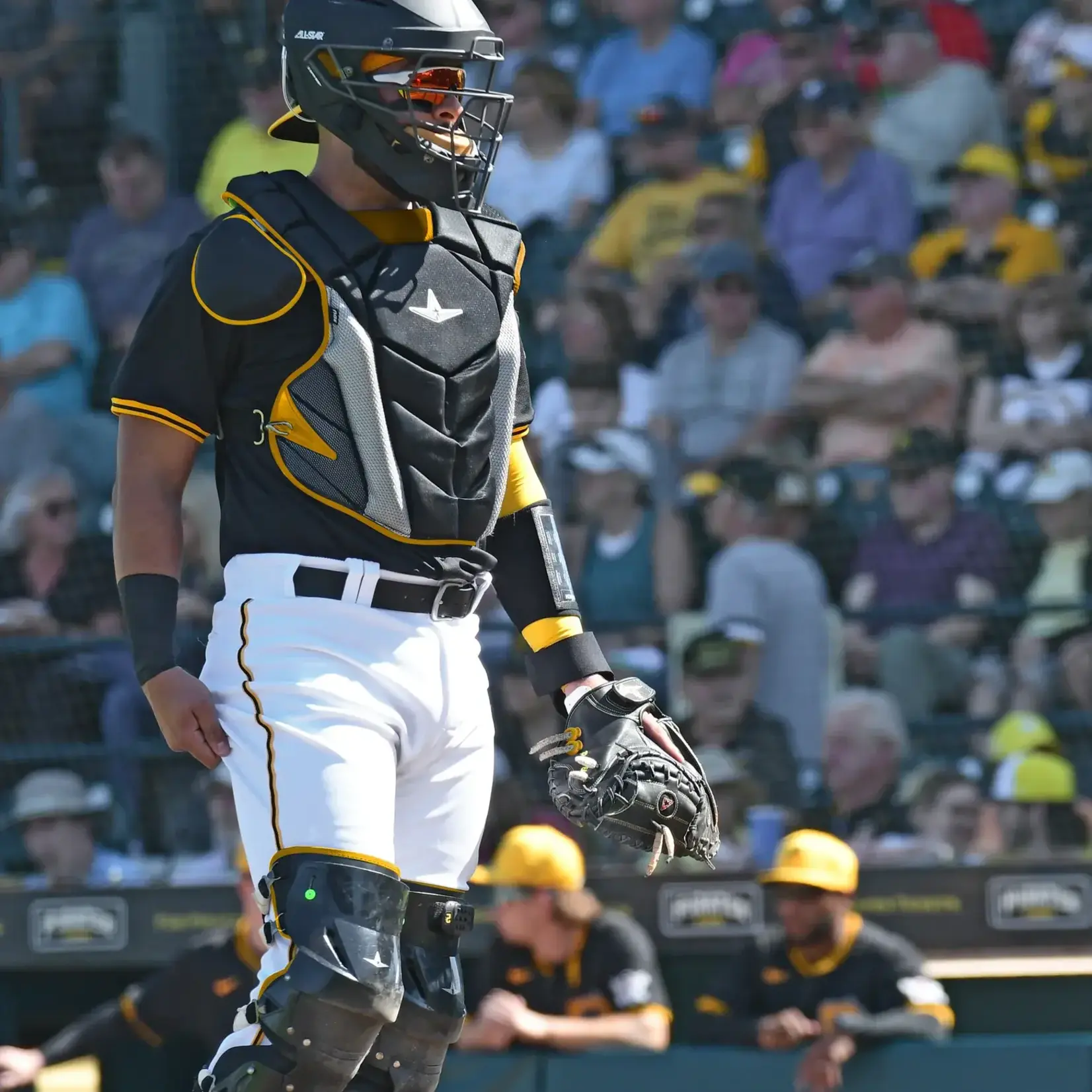 All-Star CM3000SBK 33.5” Pro Elite Black