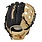 Mizuno GFN1250B5 Franchise 12.5" Baseball Glove