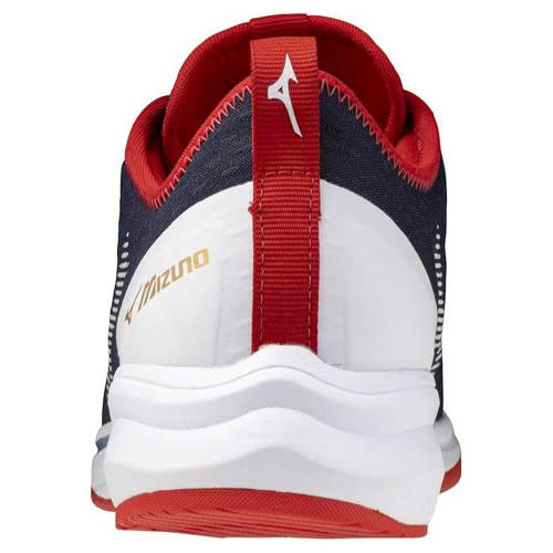 Mizuno Mizuno Dominant4 Turf Shoe
