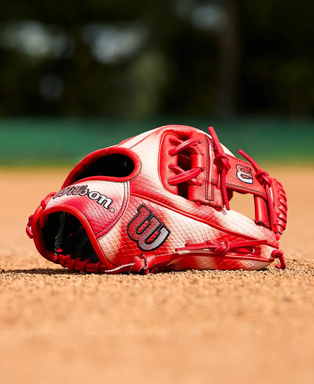 Wilson 2026 Spring A2000 Zach Neto Game Model 11.75" RHT