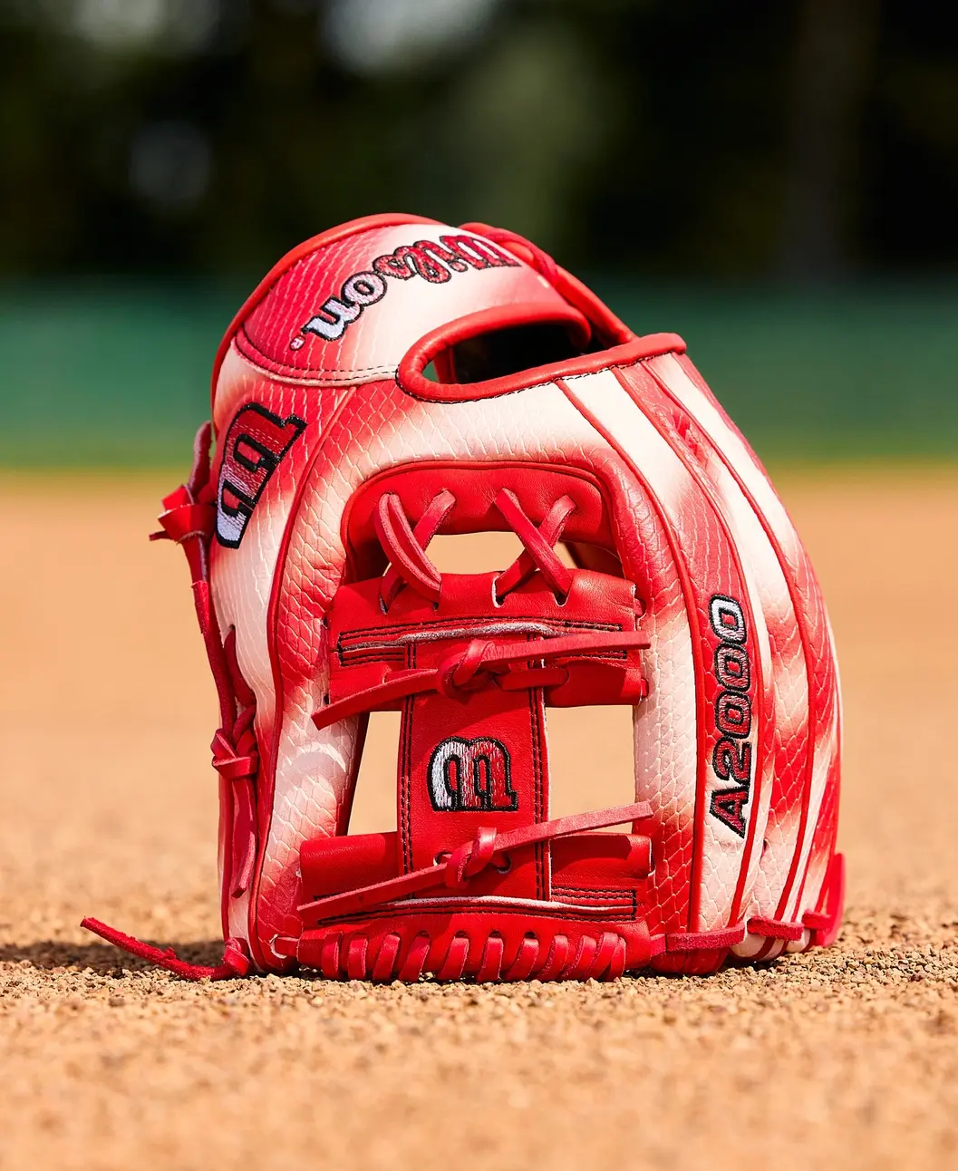 Wilson 2026 Spring A2000 Zach Neto Game Model 11.75" RHT