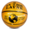 In The Layne In The LayneMulti Series Indoor/Outdoor Game Ball Official Size Gold & Black