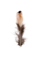Pheasant Feather Gold  3g