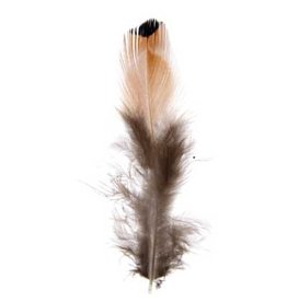 Pheasant Feather Gold  3g