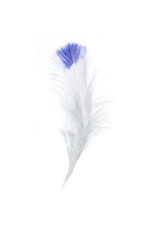 Marabou Feathers 4-6in White Royal Blue Tip  6g
