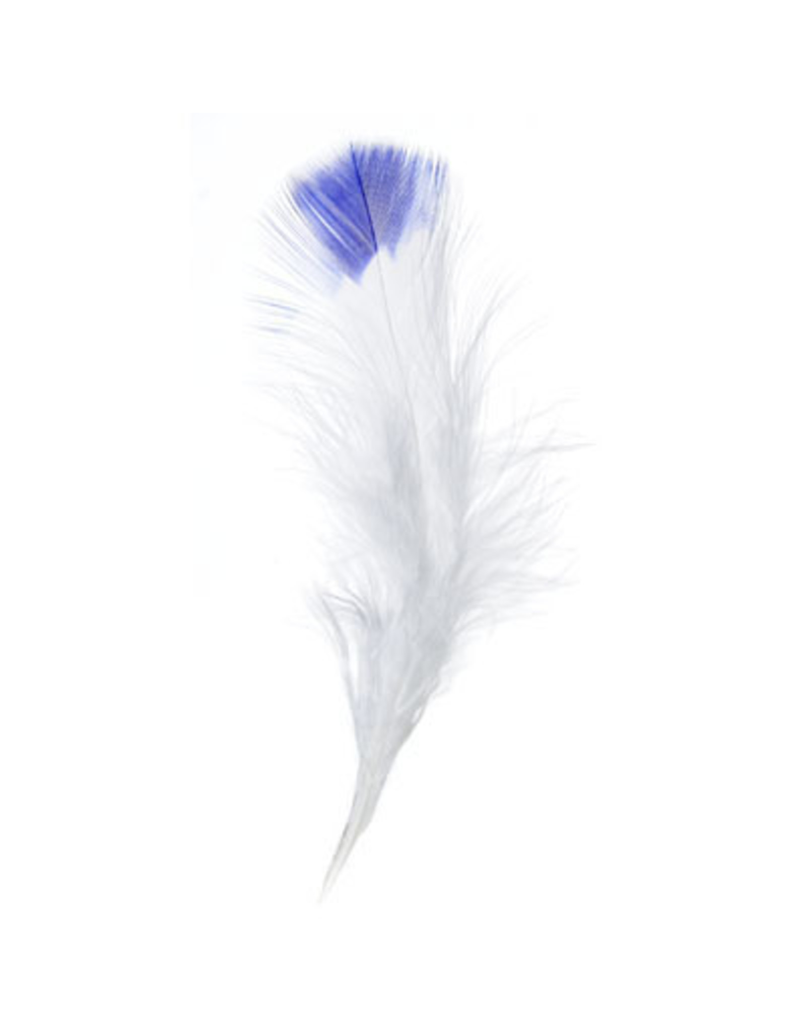 Marabou Feathers 4-6in White Royal Blue Tip  6g