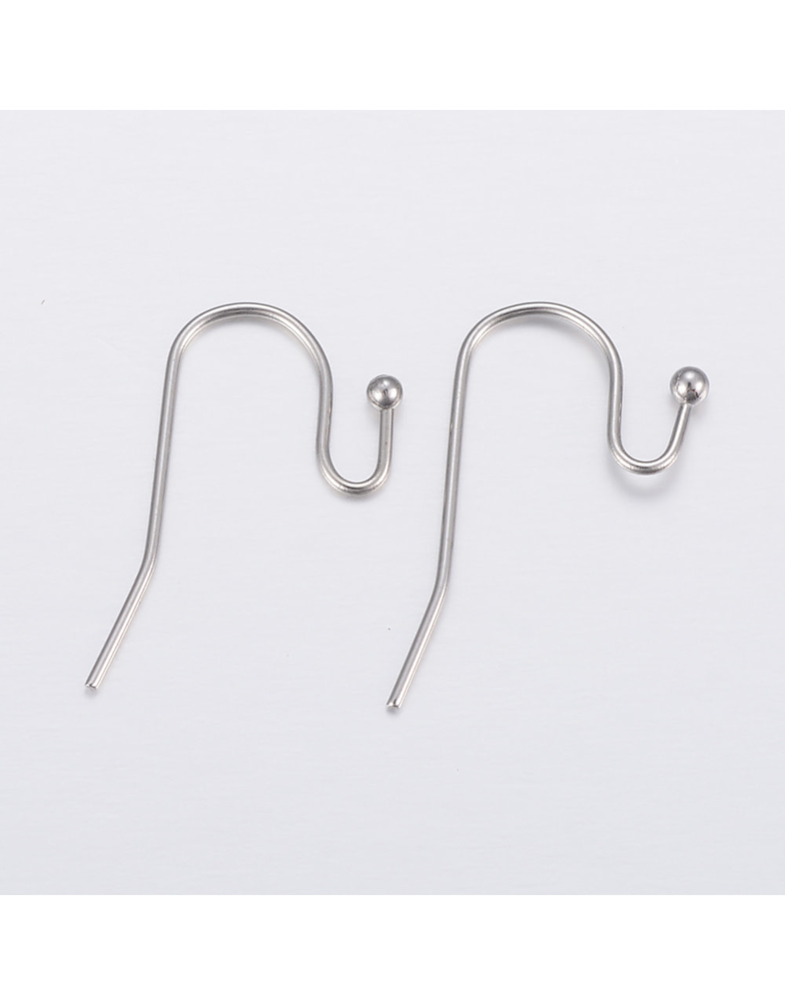 Ear Wire 21x12mm Stainless Steel   x10