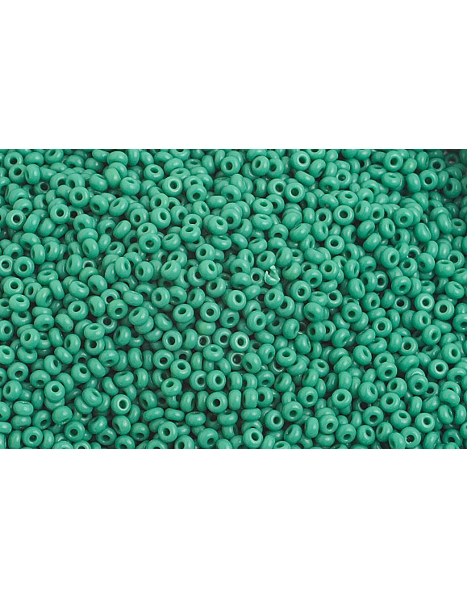 Czech 1020 10   Seed 20g Opaque Medium Dark Green