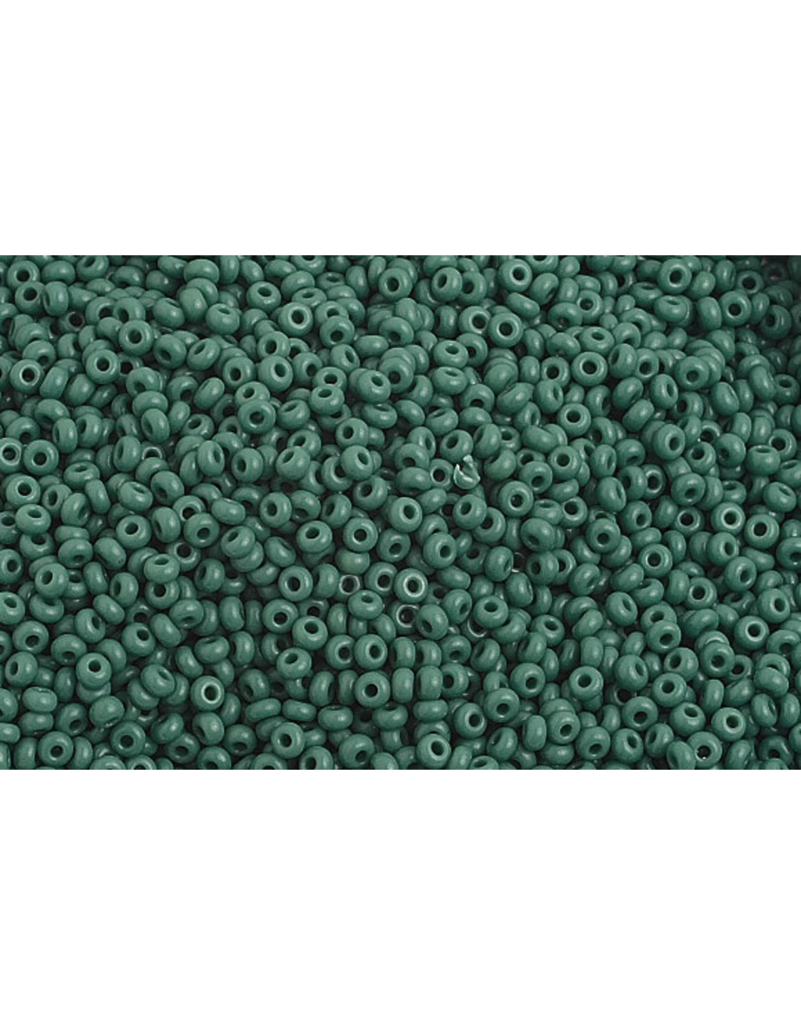 Czech *1022B 10  Seed 125g Opaque Dark Green