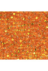 Czech 461016 10   Seed 20g  Orange s/l