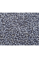Czech 2352 10   Seed 10g  Transparent Black Diamond Grey Lustre