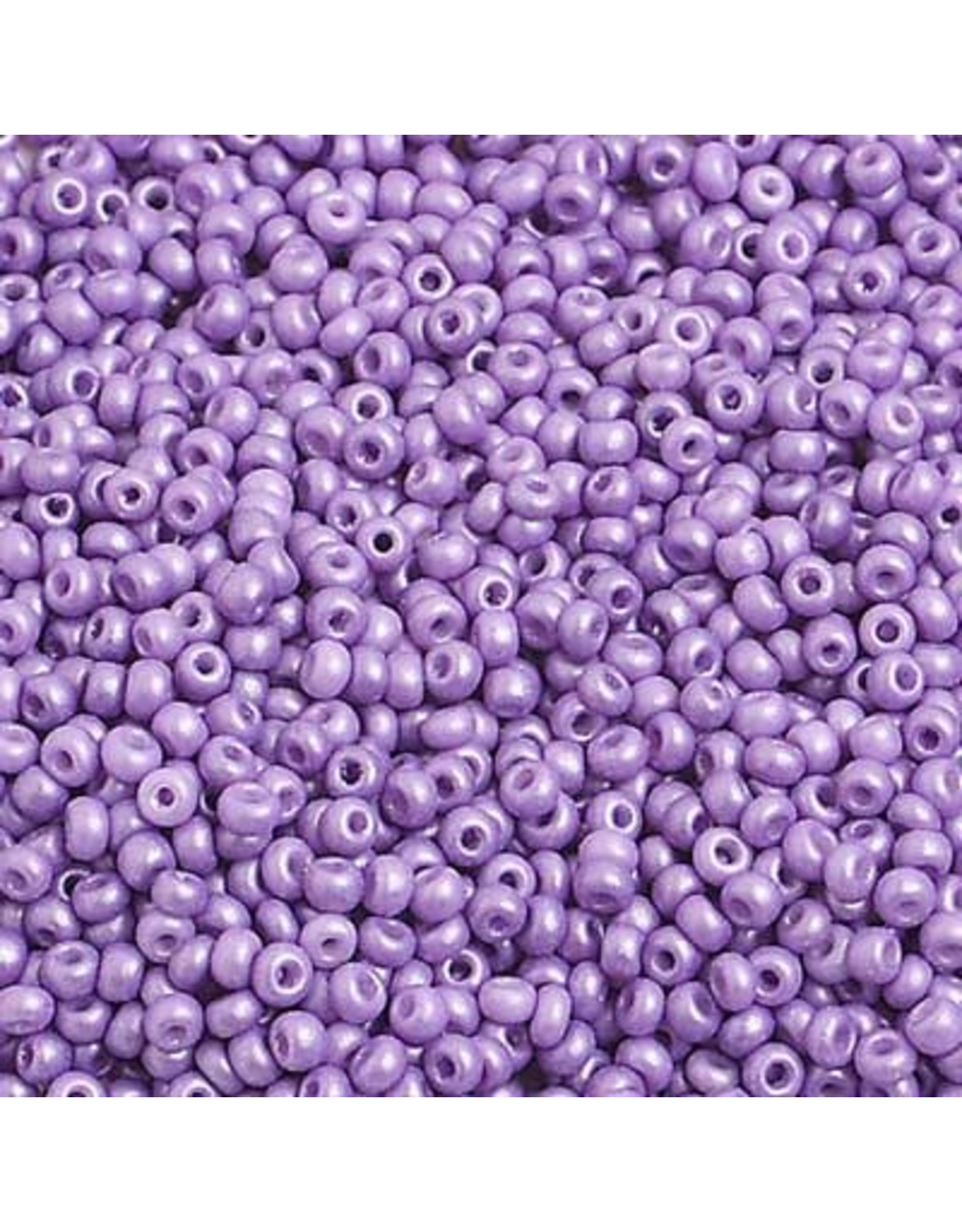 Czech *2329 10  Seed 10g  Shiny Violet Purple