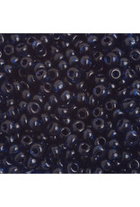 Czech 401055   6 Seed 20g   Transparent Montana Blue