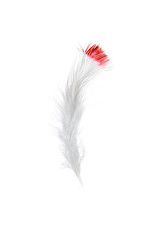 Marabou Feathers 4-6in White Red Tip  6g