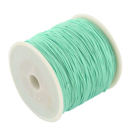 Chinese Knotting Cord .8mm Aqua Blue x100y