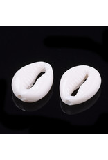 17x13mm Acrylic Cowrie Shell White  x20