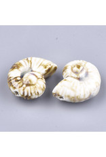 Seashell  40x30x18mm Cream  Brown  x1