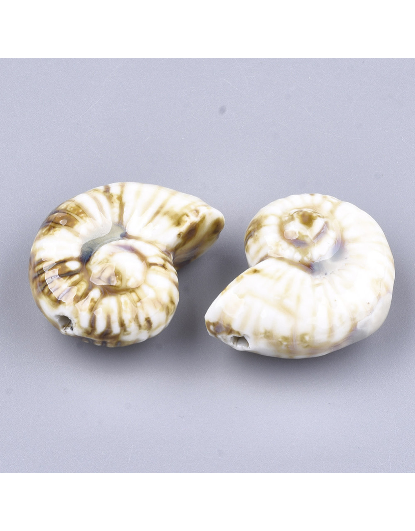 Seashell  40x30x18mm Cream  Brown  x1