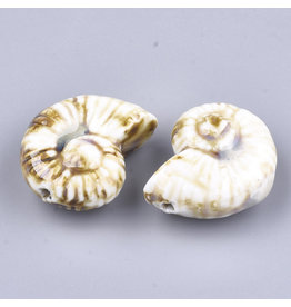 Seashell  40x30x18mm Cream  Brown  x1