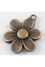 Daisy 22x16mm  Antique Copper x10 NF