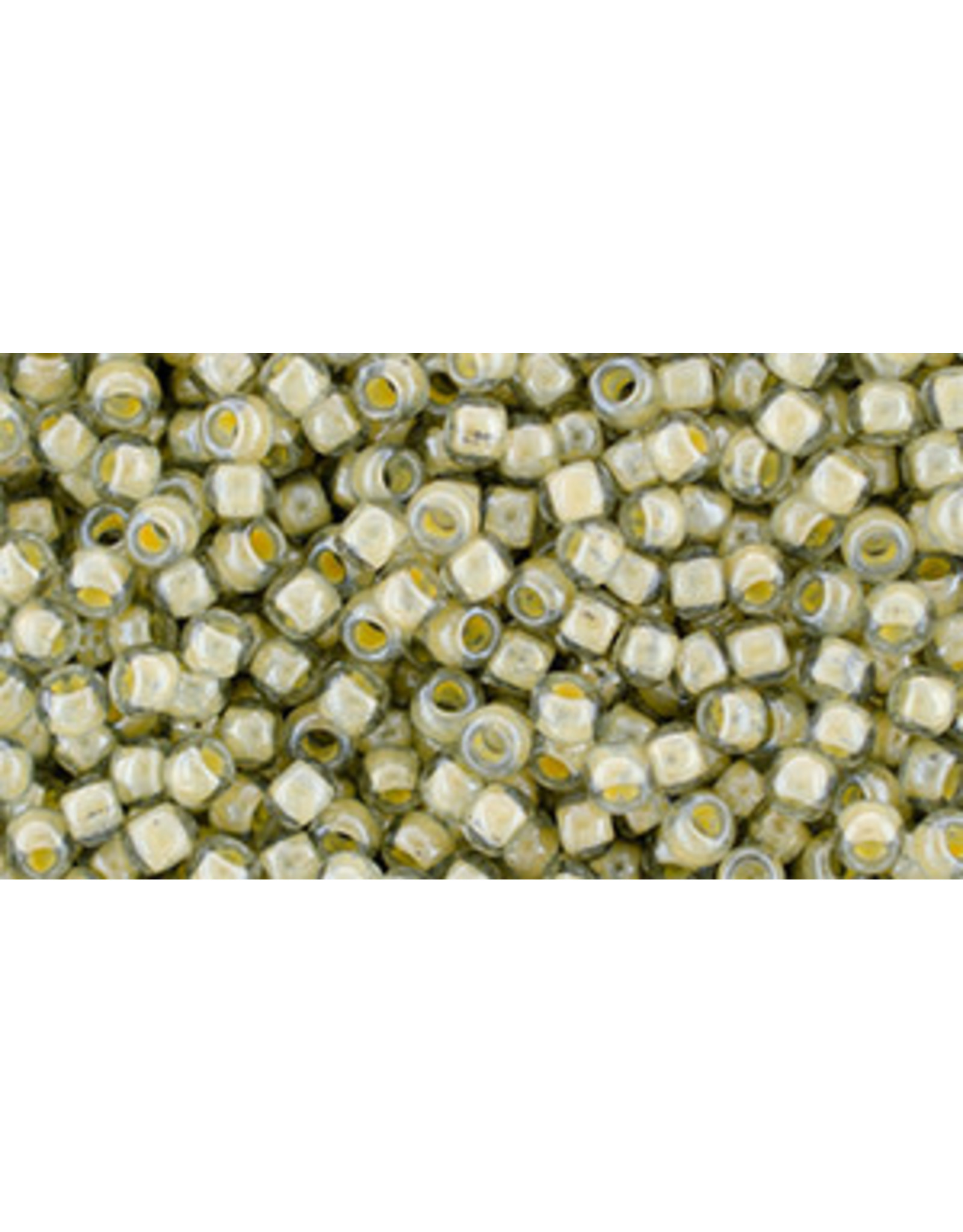 Toho 369  8  Round 40g Black Diamond Grey Cream c/l