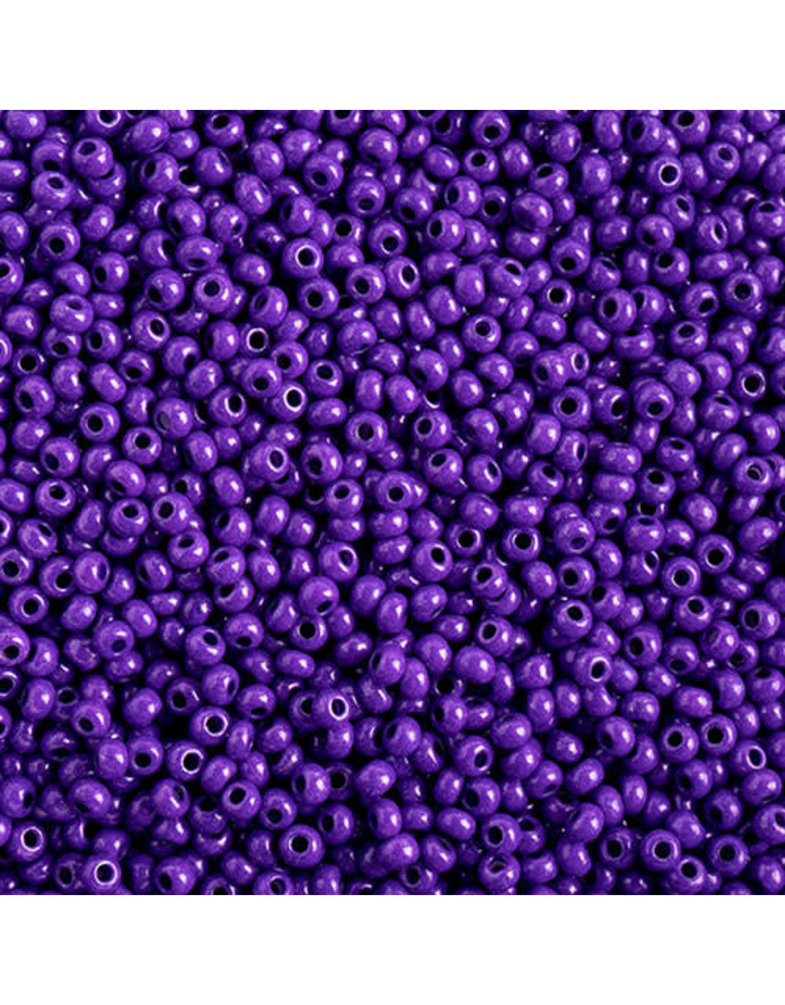 Czech 43116 10  Seed 10g  Opaque Purple Terra Intensive