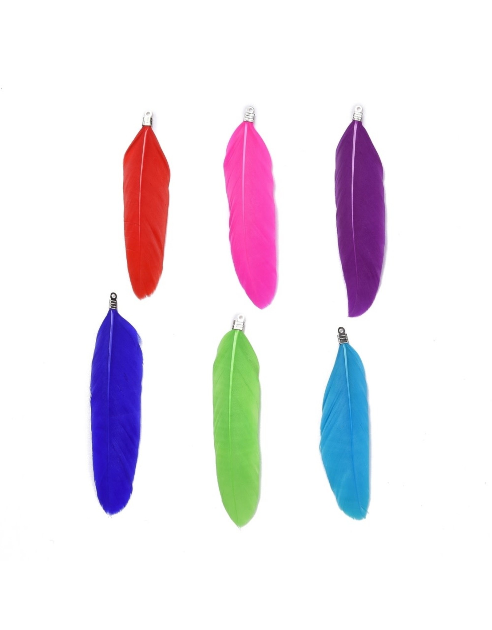 Feather Pendant Assorted Colours  72x15mm  x5pair