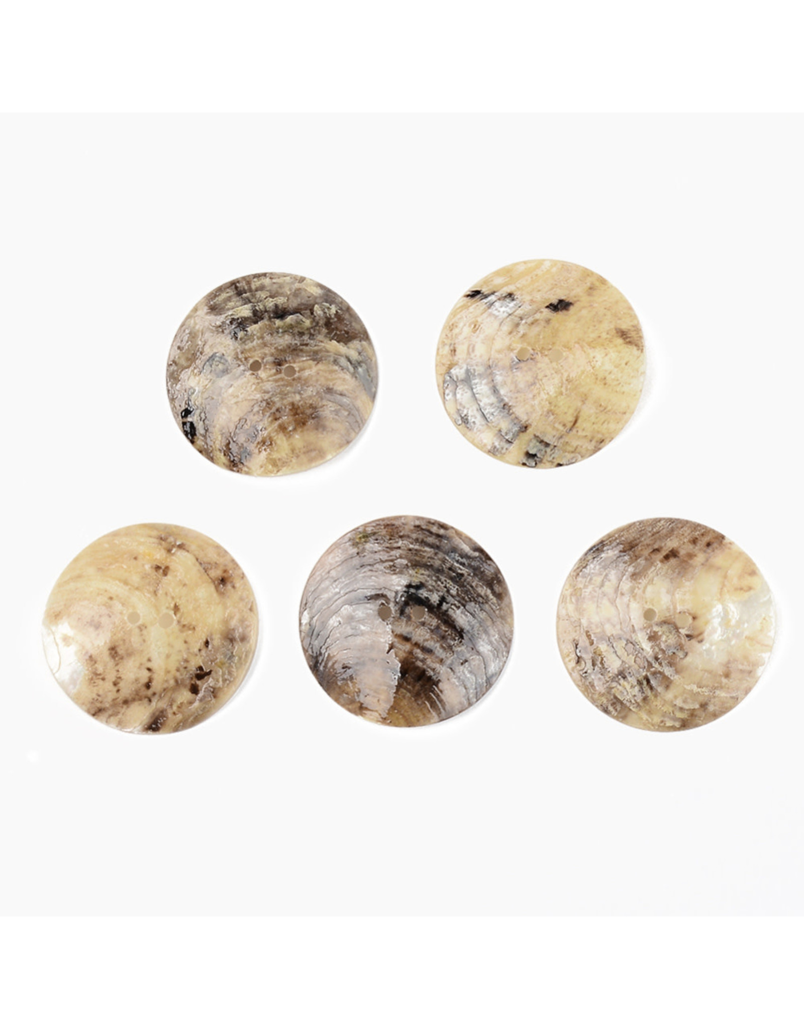 Mother of Pearl Akoya Shell Button 30mm  x12
