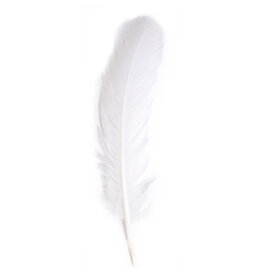 Feather Turkey Quill  12"  x6