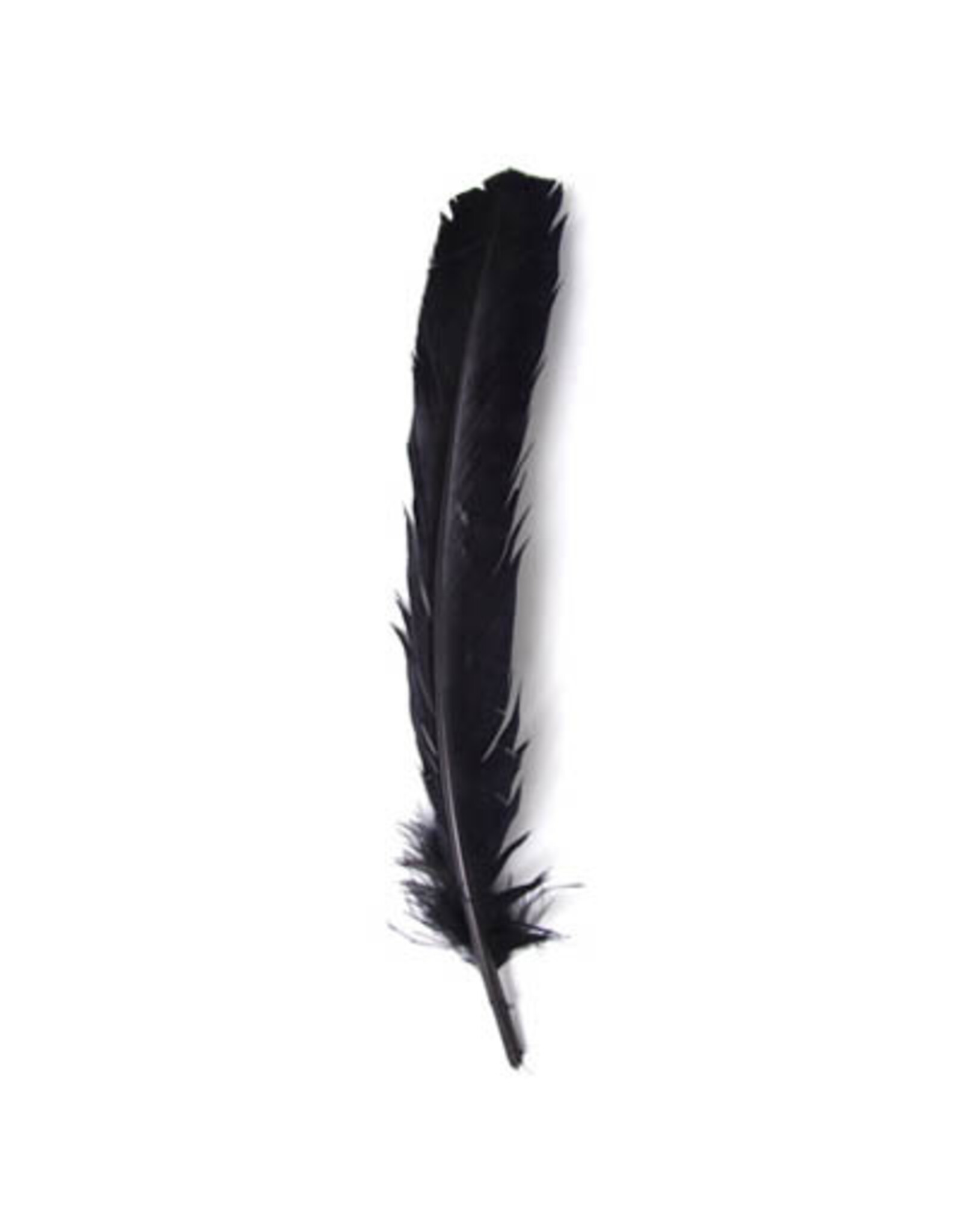 Feather Turkey Quill  12"  x6