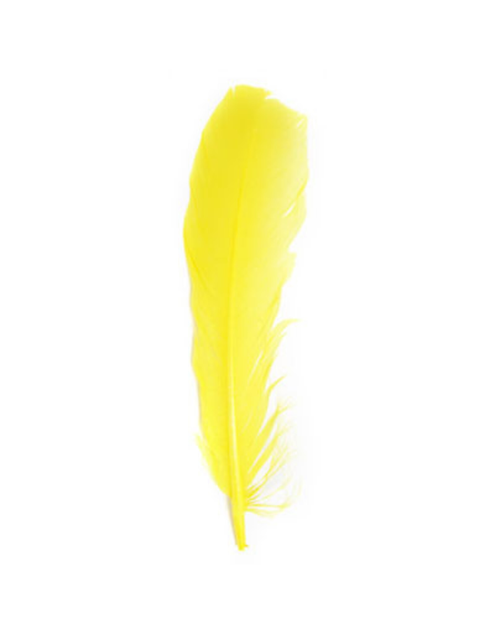 Feather Turkey Quill  12"  x6