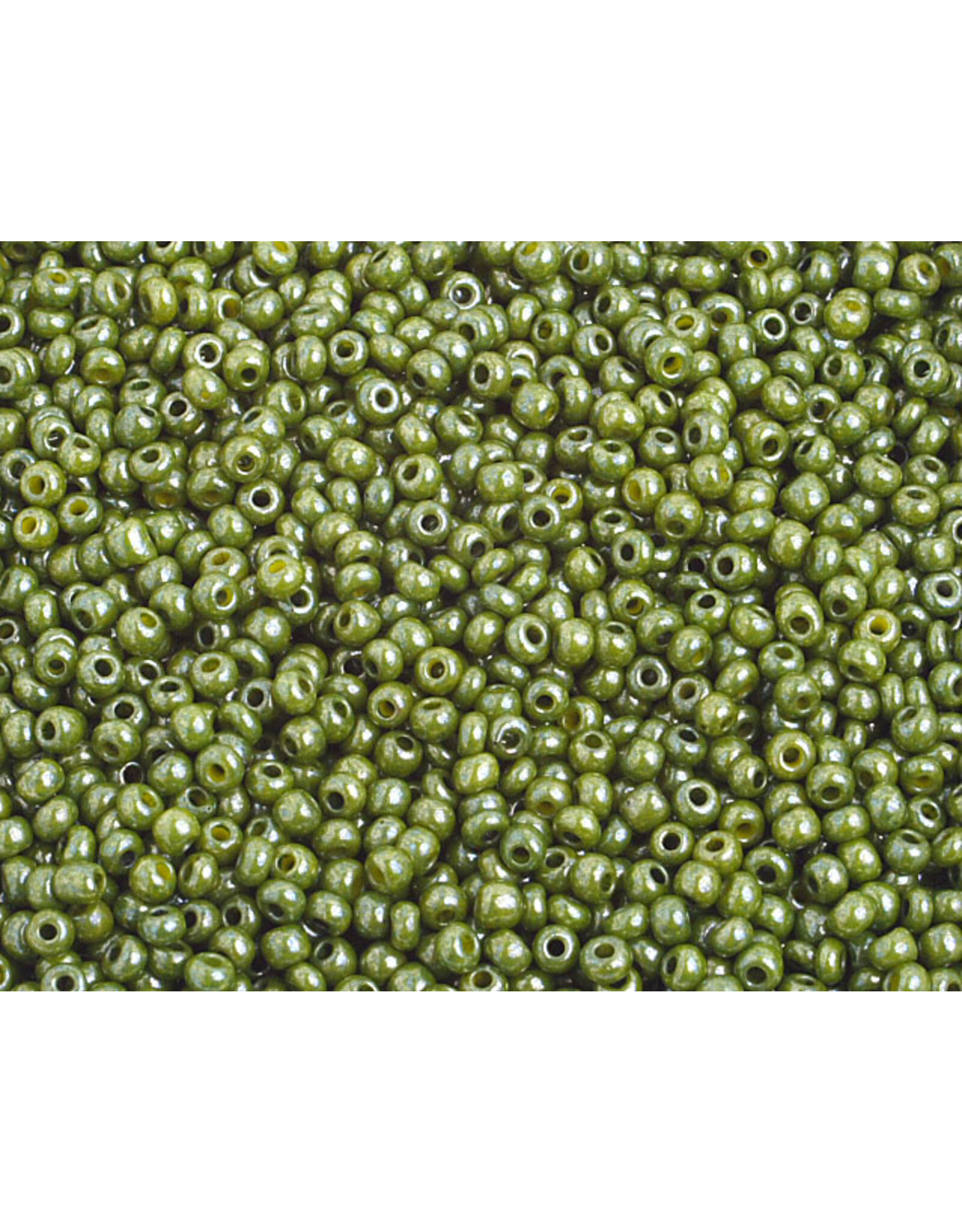 *2381 10  Seed 125g  Opaque Olive Lustre