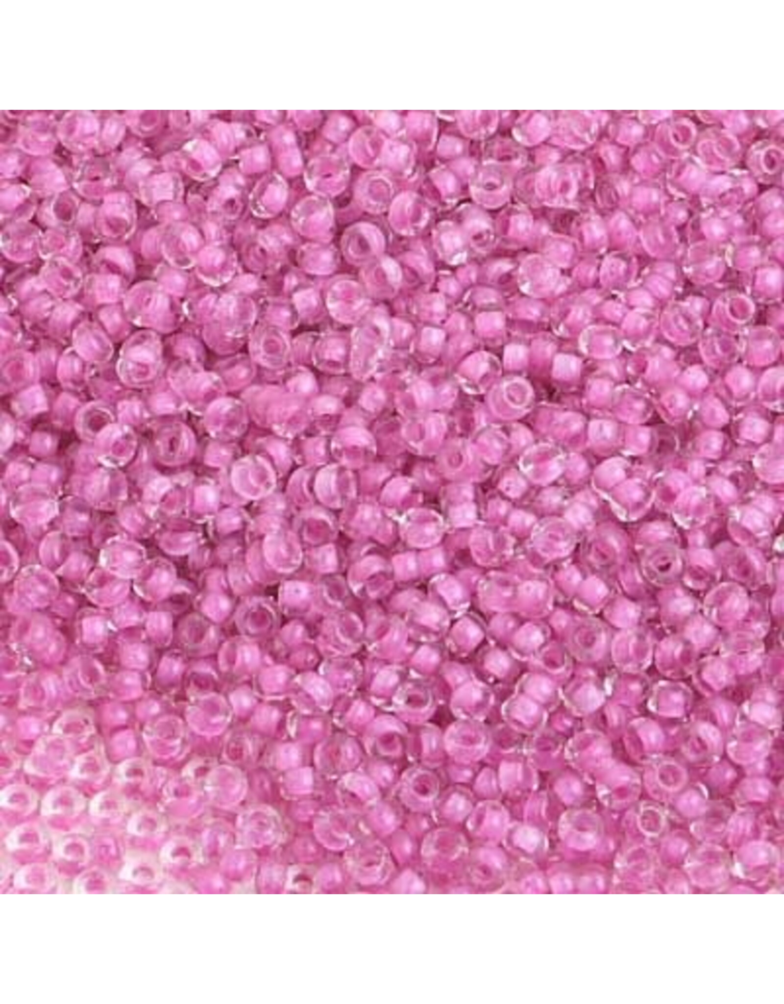 42024  10  Seed   125g  Fuchsia Pink c/l Terra