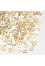7-10mm Natural  Shell  Chips 20g about x130