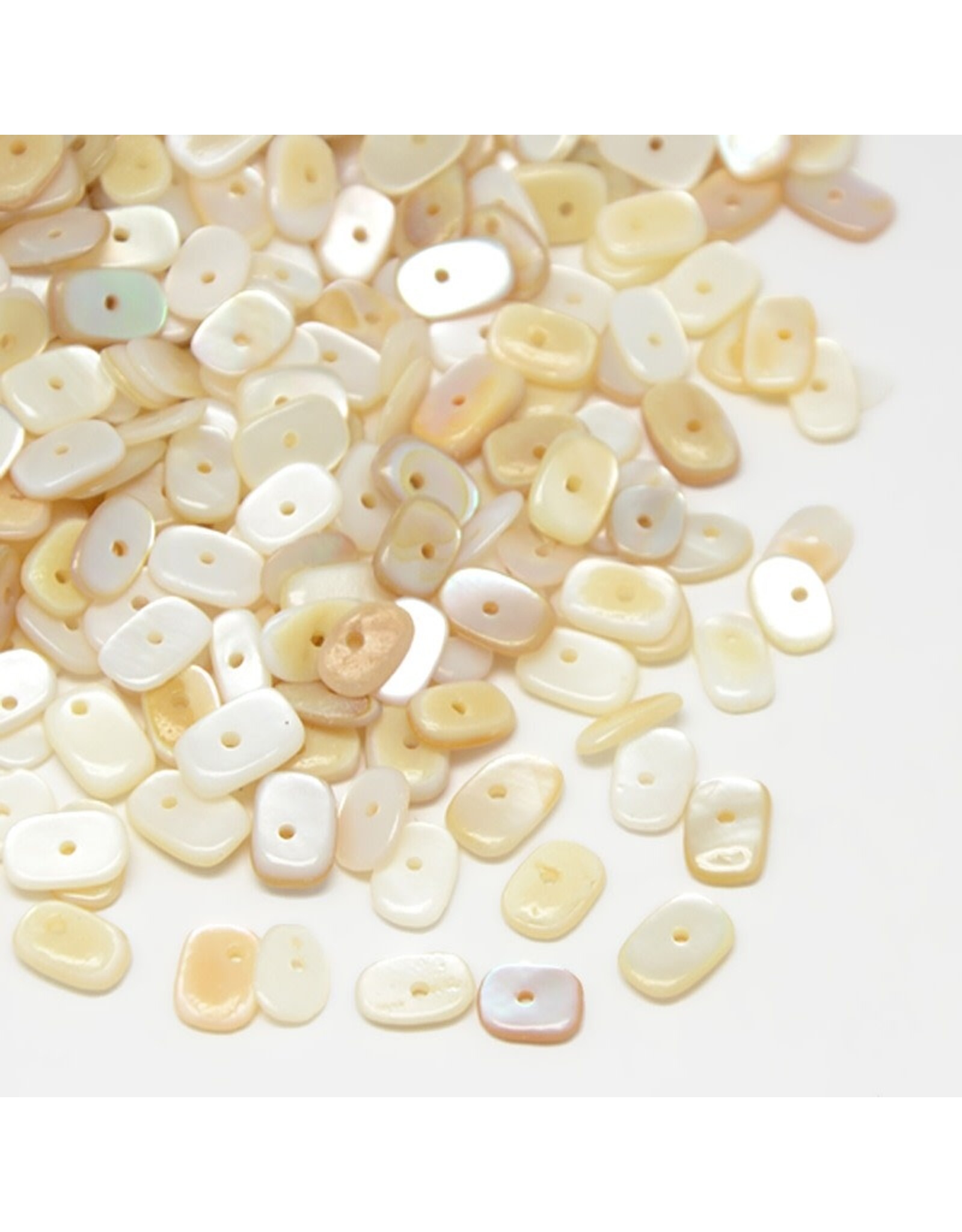 7-10mm Natural  Shell  Chips 20g about x130