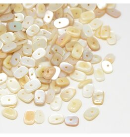 7-10mm Natural  Shell  Chips 20g about x130