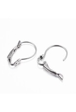 Ear Wire 21x14mm Lever Back Stainless Steel x20