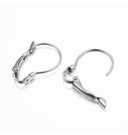 Ear Wire 21x14mm Lever Back Stainless Steel x20