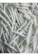 50mm Natural White Dentalium Shell   x50