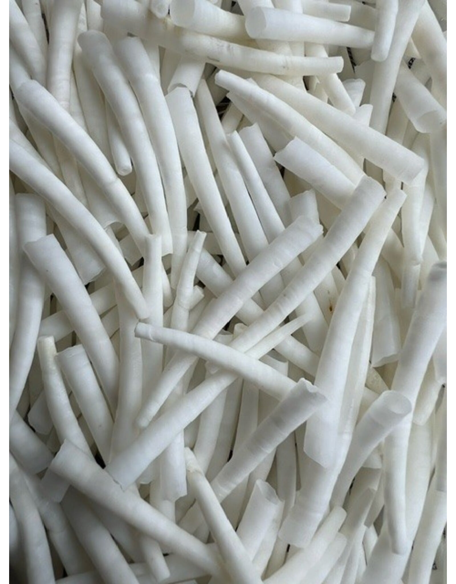 50mm Natural White Dentalium Shell   x50