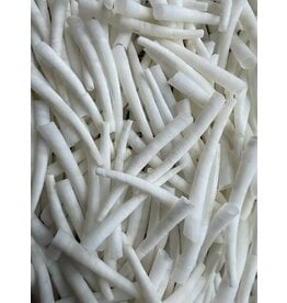 50mm Natural White Dentalium Shell   x50