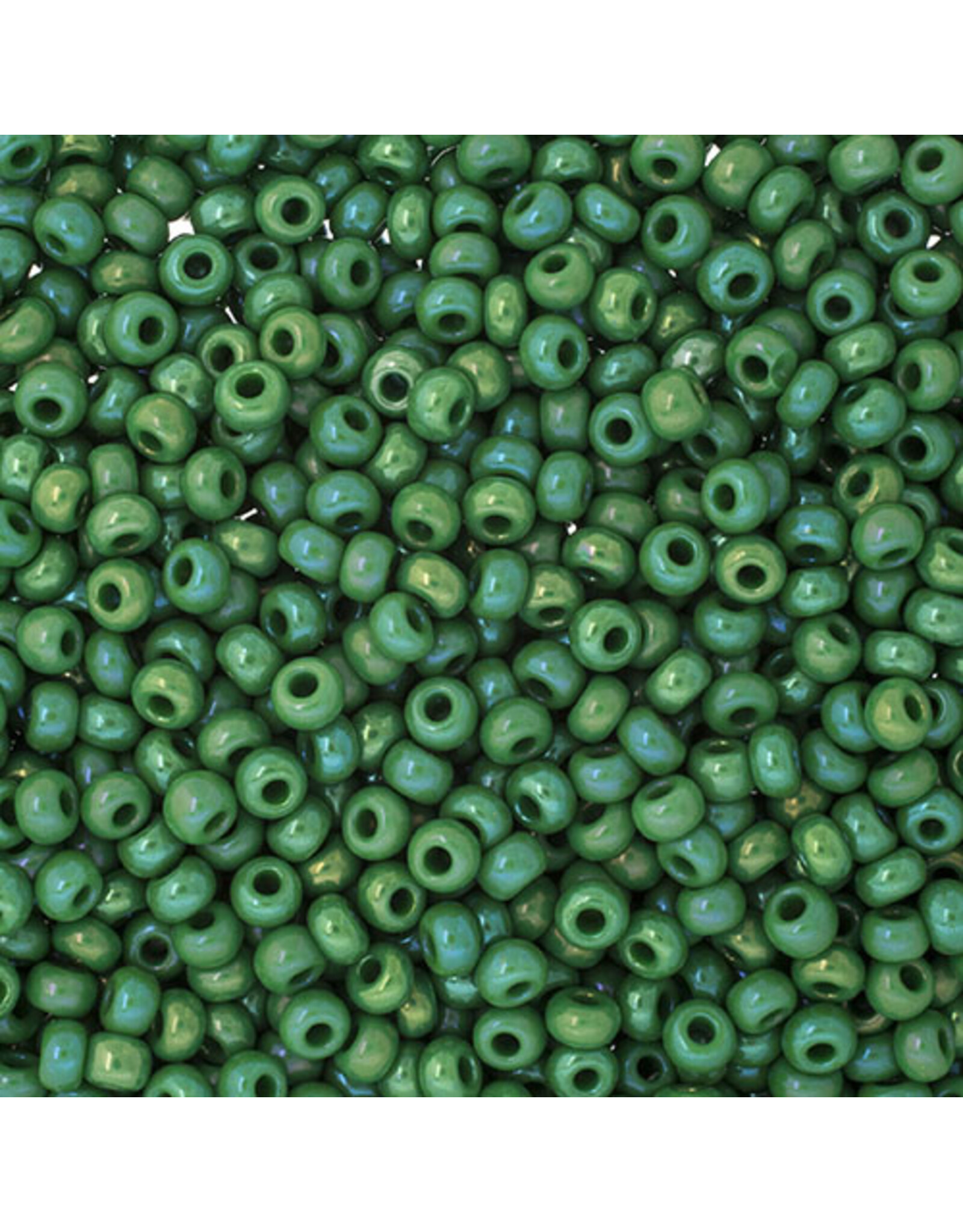Czech 201700 8  Seed  Opaque Medium Green AB