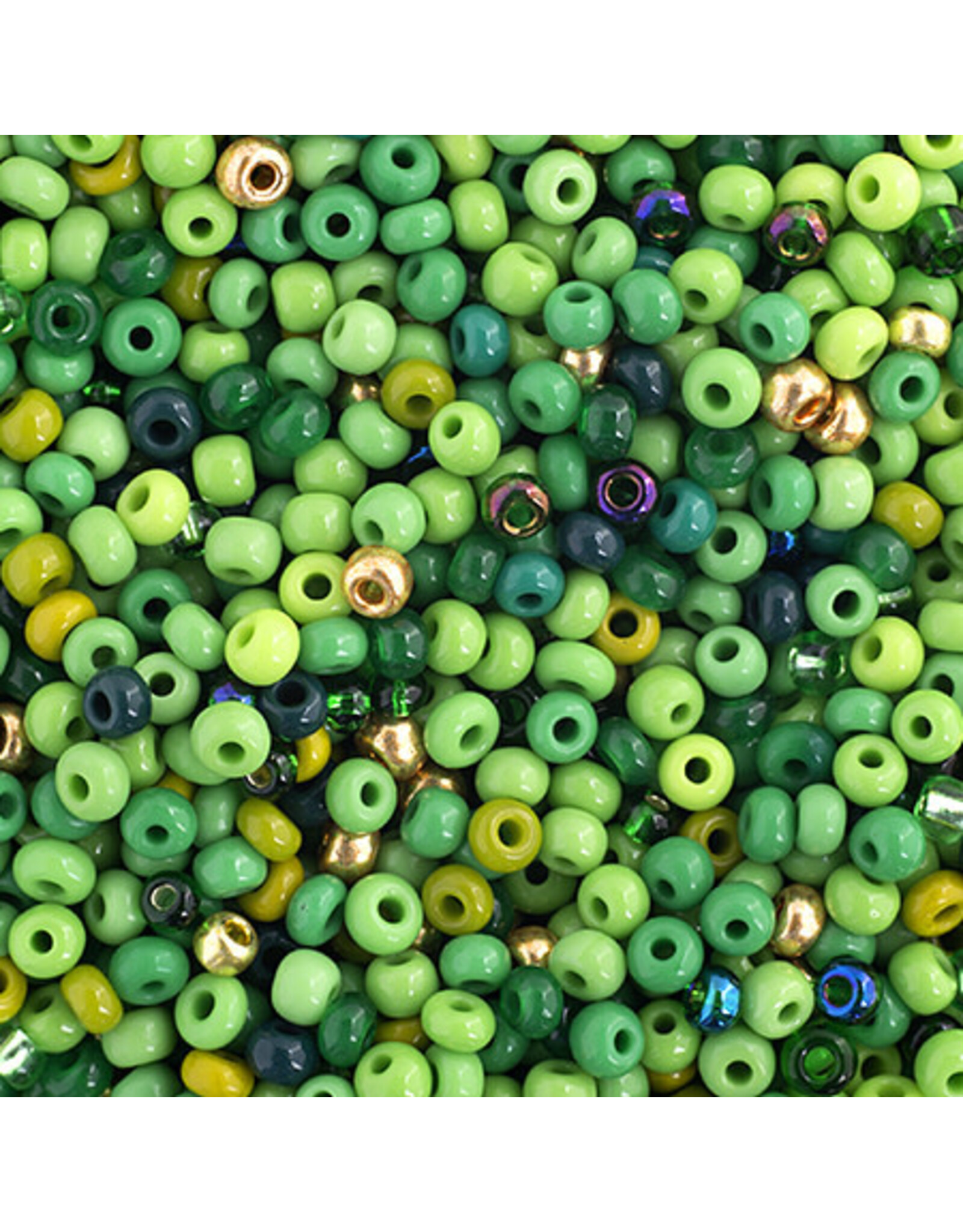 Czech 520100  8  Seed  Green Mix