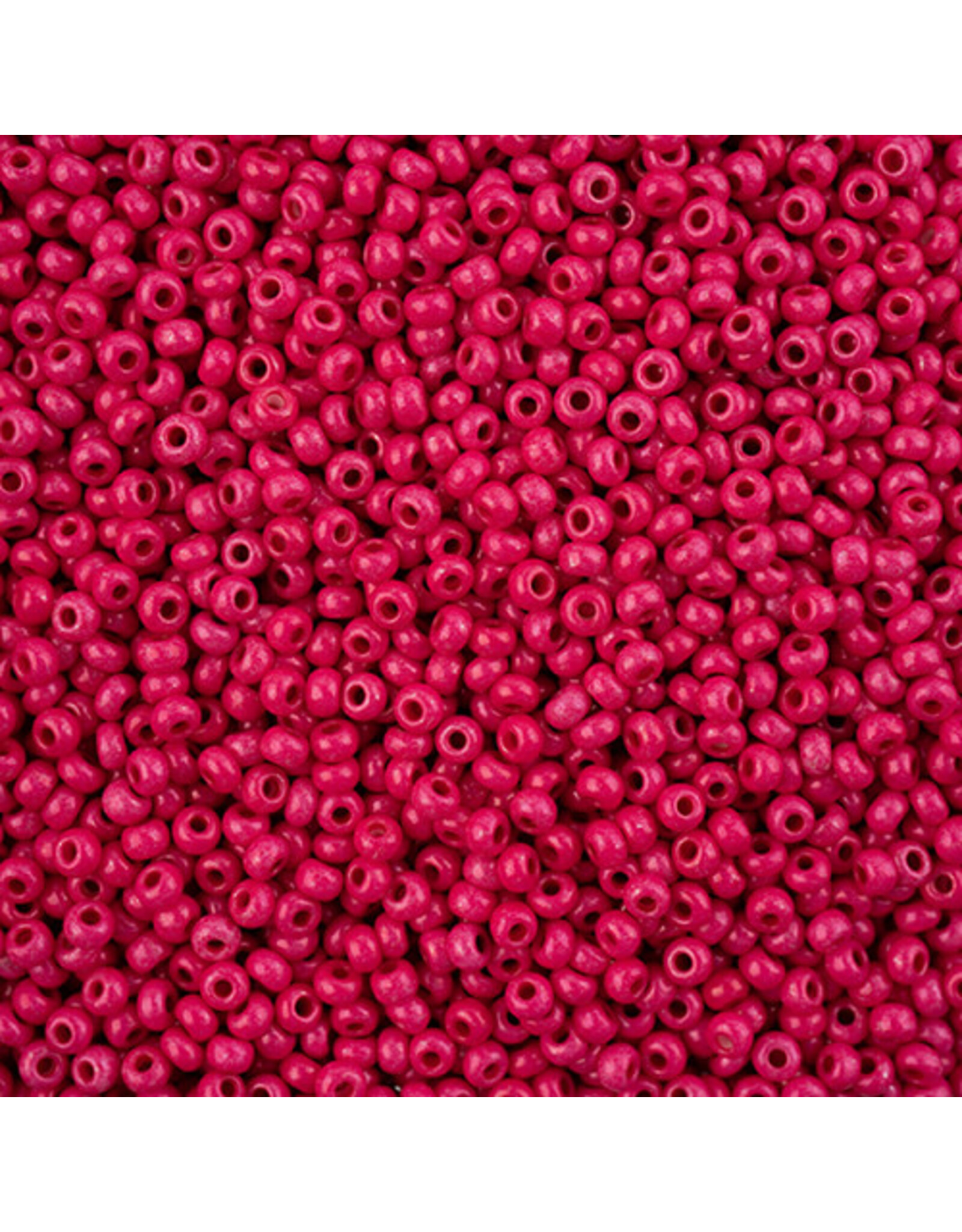 Czech 243113  8 Seed Opaque Pink Rose Terra Intensive