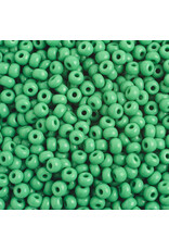 Czech 401628 6  Seed  Opaque Medium Green