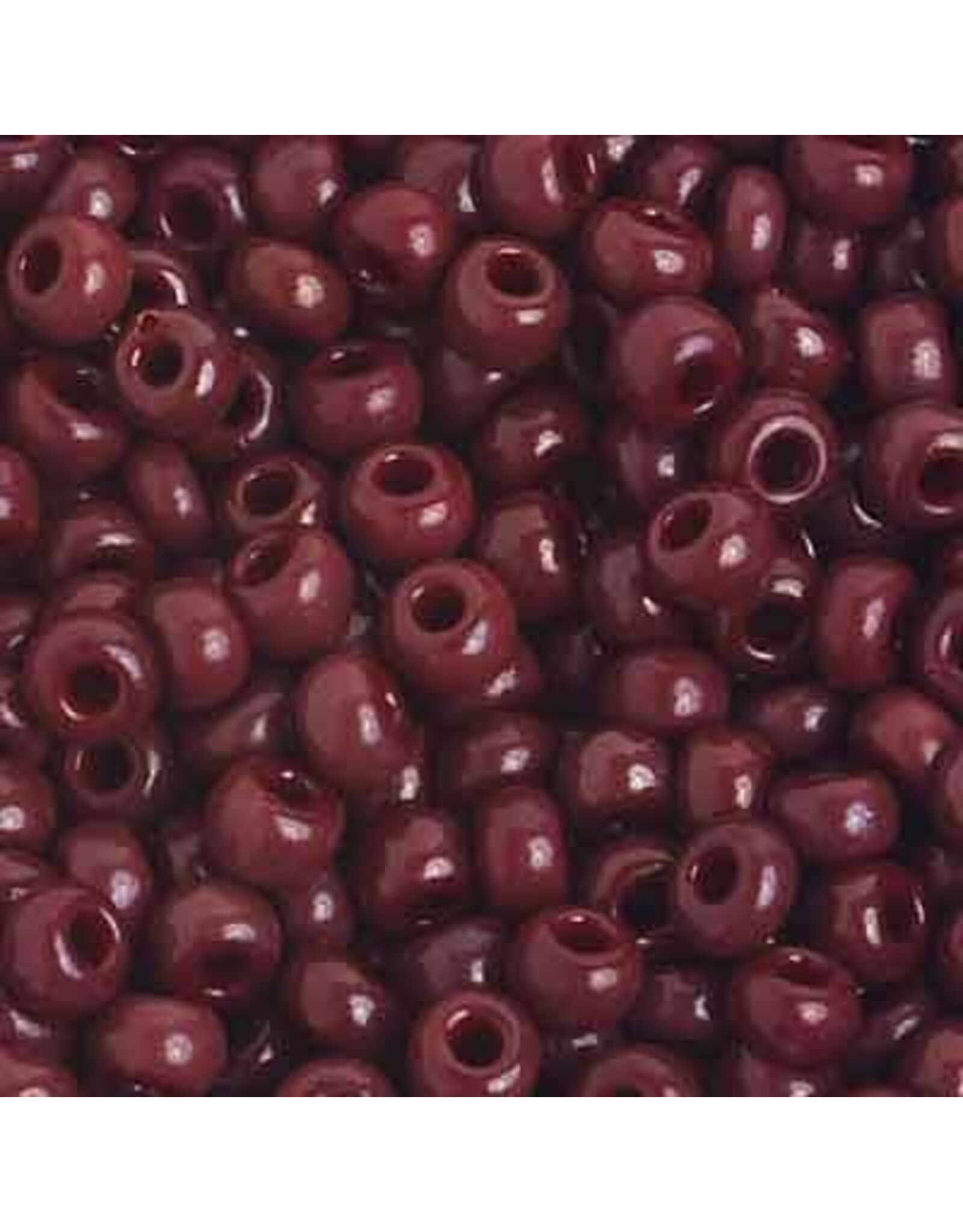 Czech 401640 6  Seed  Opaque Medium  Brown