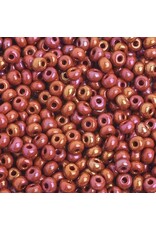 Czech 401714 6  Seed   Opaque Brown AB