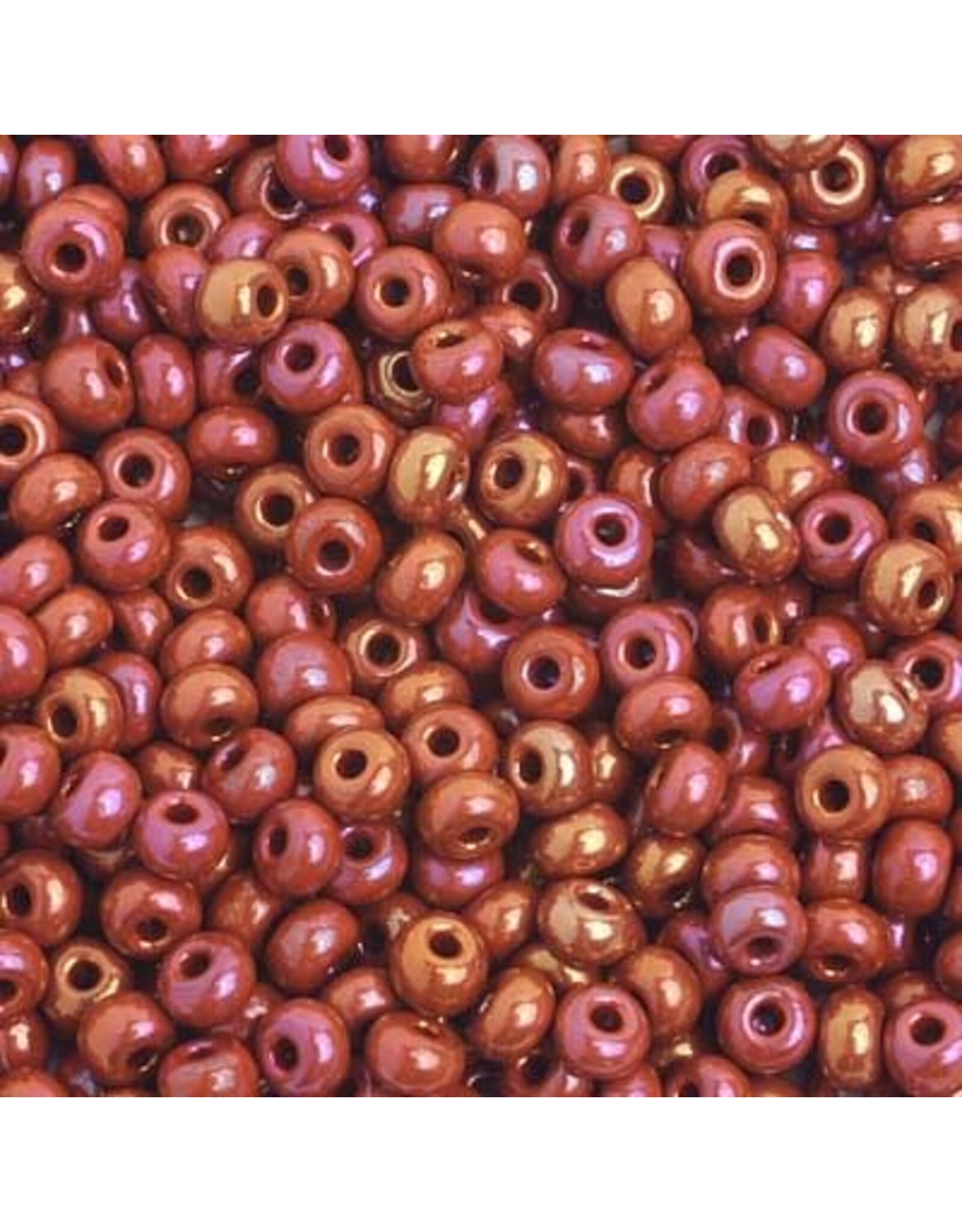 Czech 401714 6  Seed   Opaque Brown AB