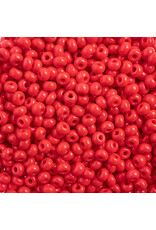 Czech 443227  6  Seed Opaque Red Terra Intensive